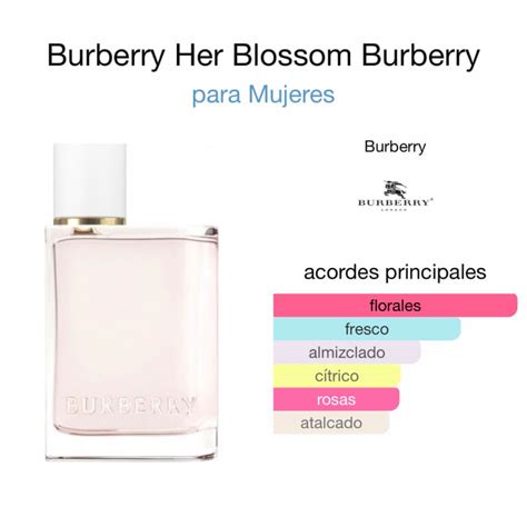 burberry classic perfume notes|where to buy burberry her.